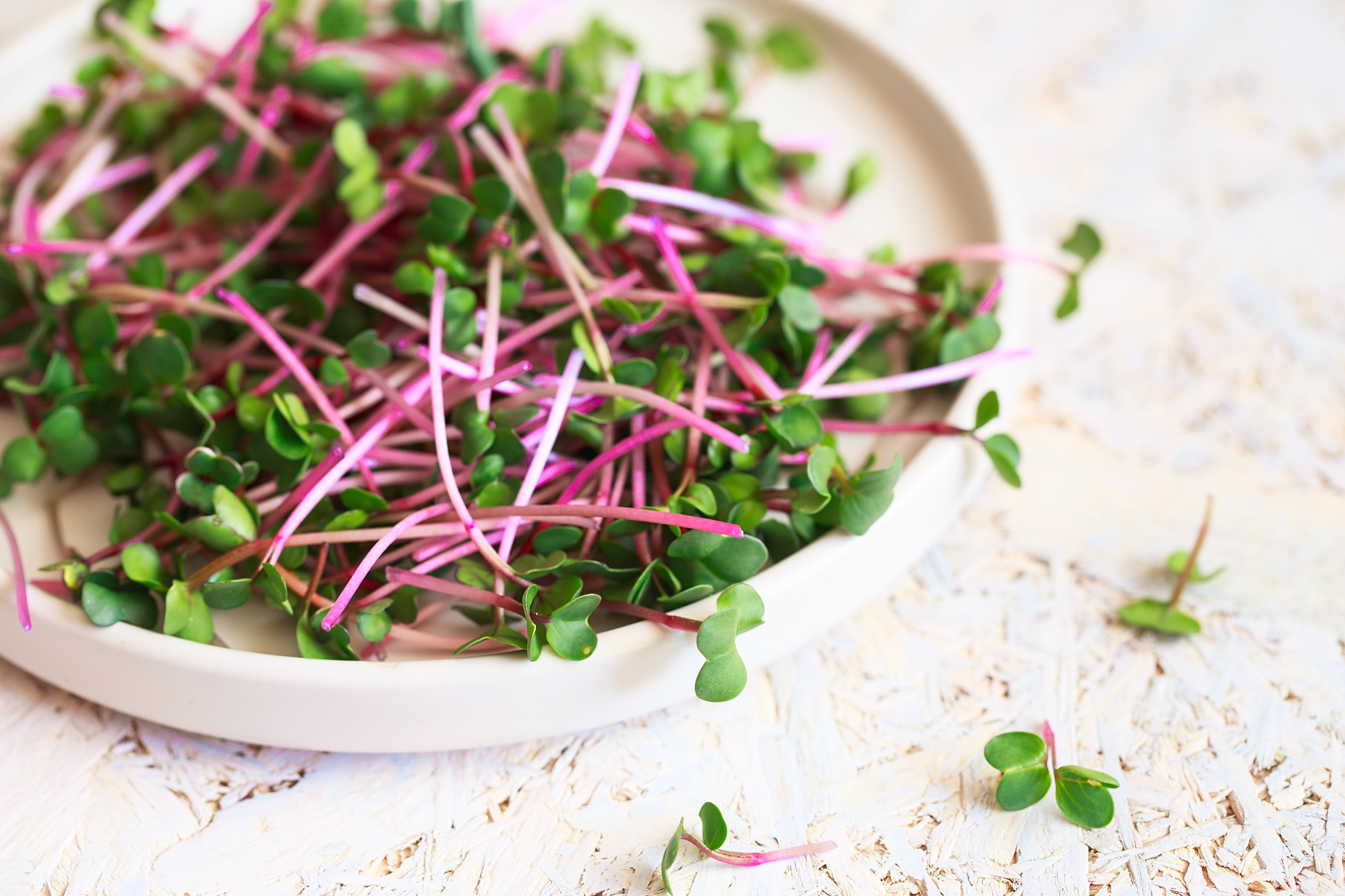 Strawberry Microgreen Salad