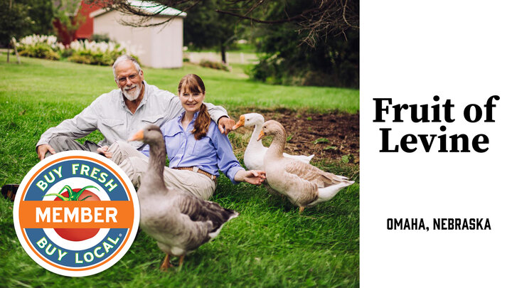 Spotlight photo for Fruit of Levine of Mike and Jodi Levine and a flock of their ducks