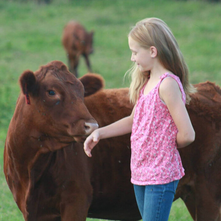 Young girl with cow