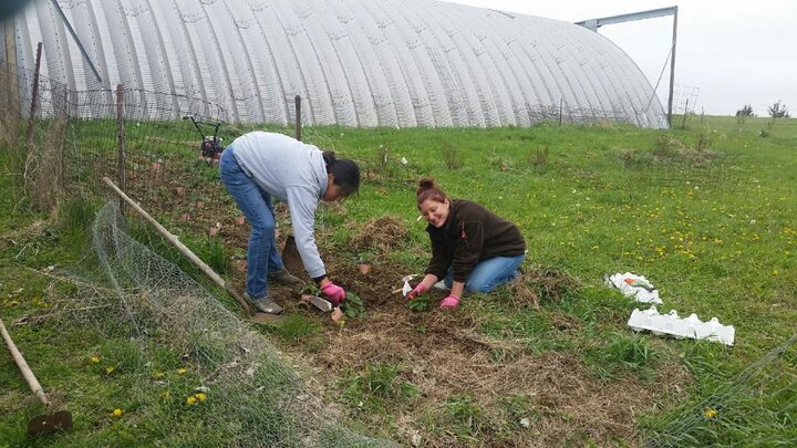 Two people prepping a garden bed in the Food4Hope garden