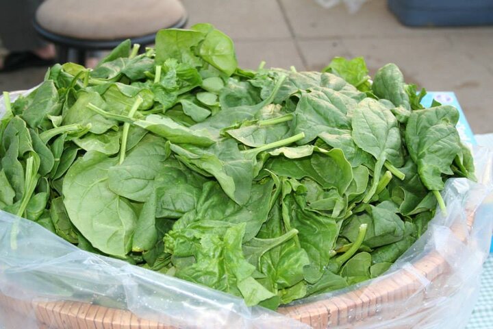 fresh spinach from GreenLeaf Farms